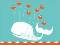 Twitter abre sus estadísticas a todos los usuarios