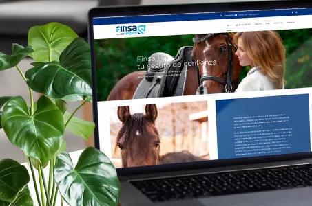 Finsa Hípico: Seguros para el mundo del caballo