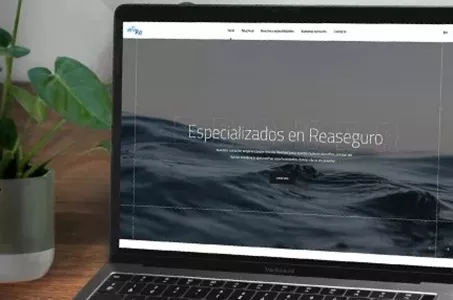 WiiRe: Especializados en reaseguros
