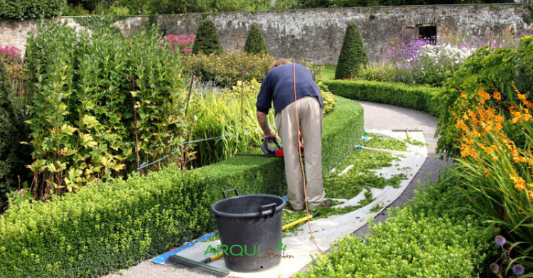 Arquigarden: diseño de jardines en Madrid