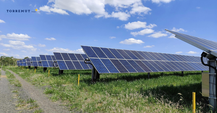 La Apuesta por la Sostenibilidad: Energía Renovable en el Corazón de Zamora