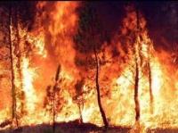 Un portal web de información y vigilancia de incendios en tiempo real