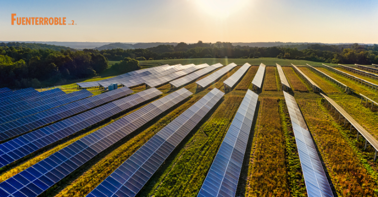El Impulso de la Sostenibilidad: El Motor Verde de Salamanca a través de la Energía Renovable